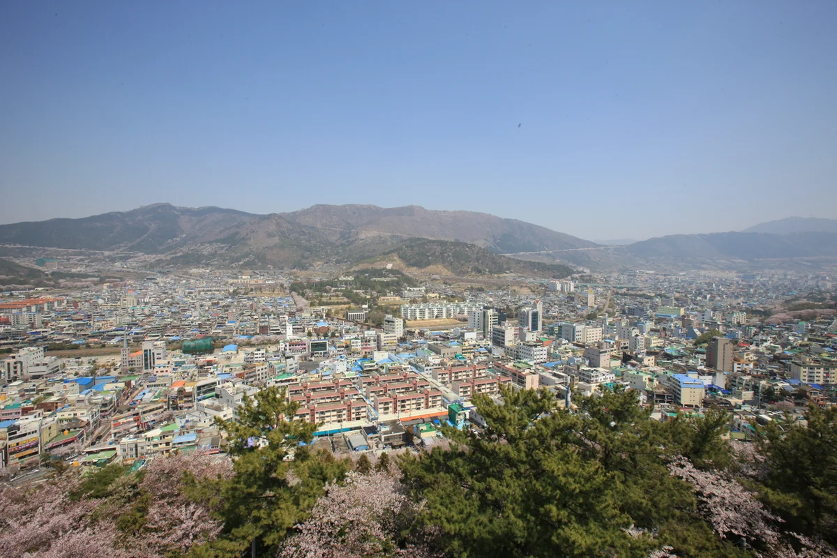 제황산공원 - 진해군항제 여행