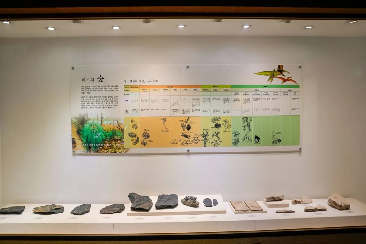 단양구경시장 - 충북여행 여행