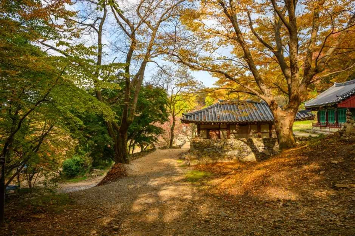 삼길포항 - 서산여행 여행