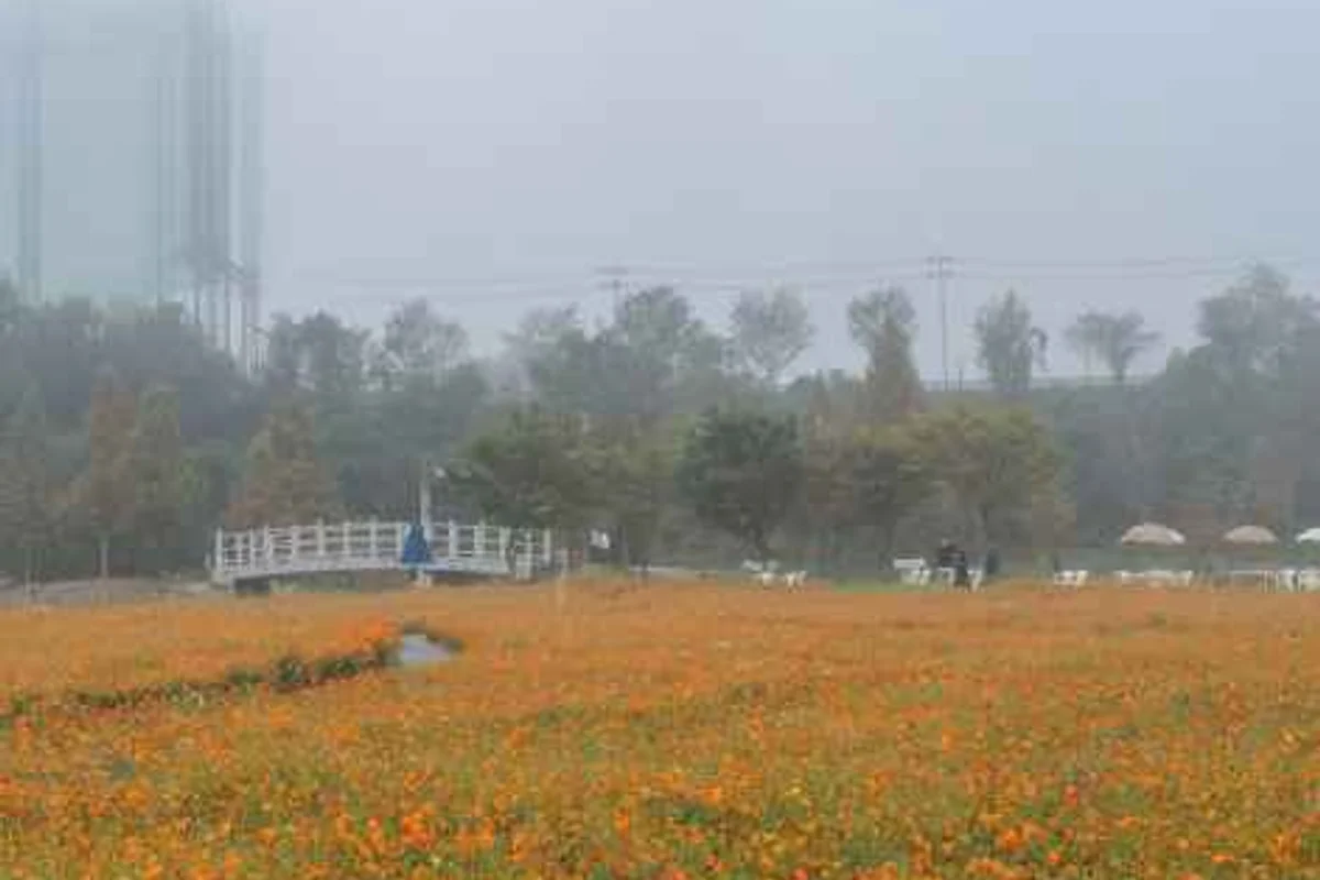 대장경테마파크 - 합천여행 여행