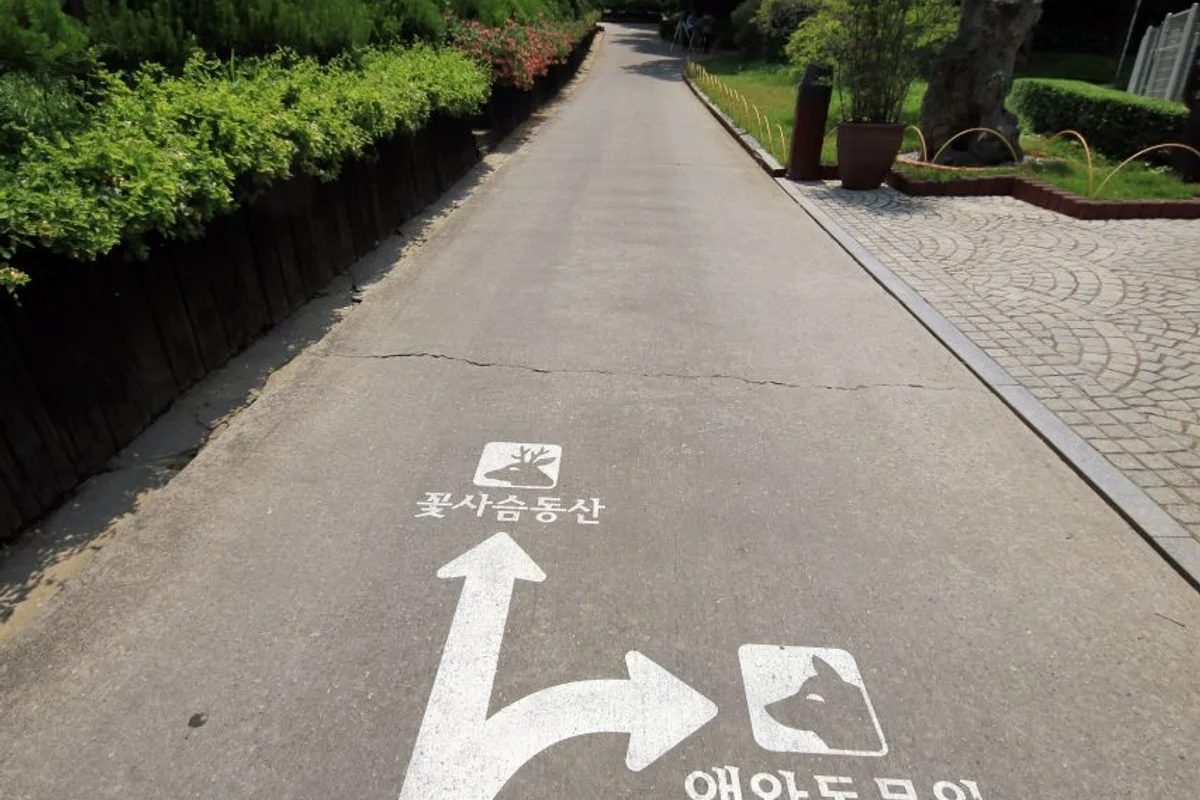 베어트리파크 - 벚꽃명소 여행