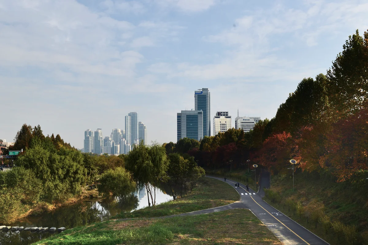 양재천 - 강남 여행