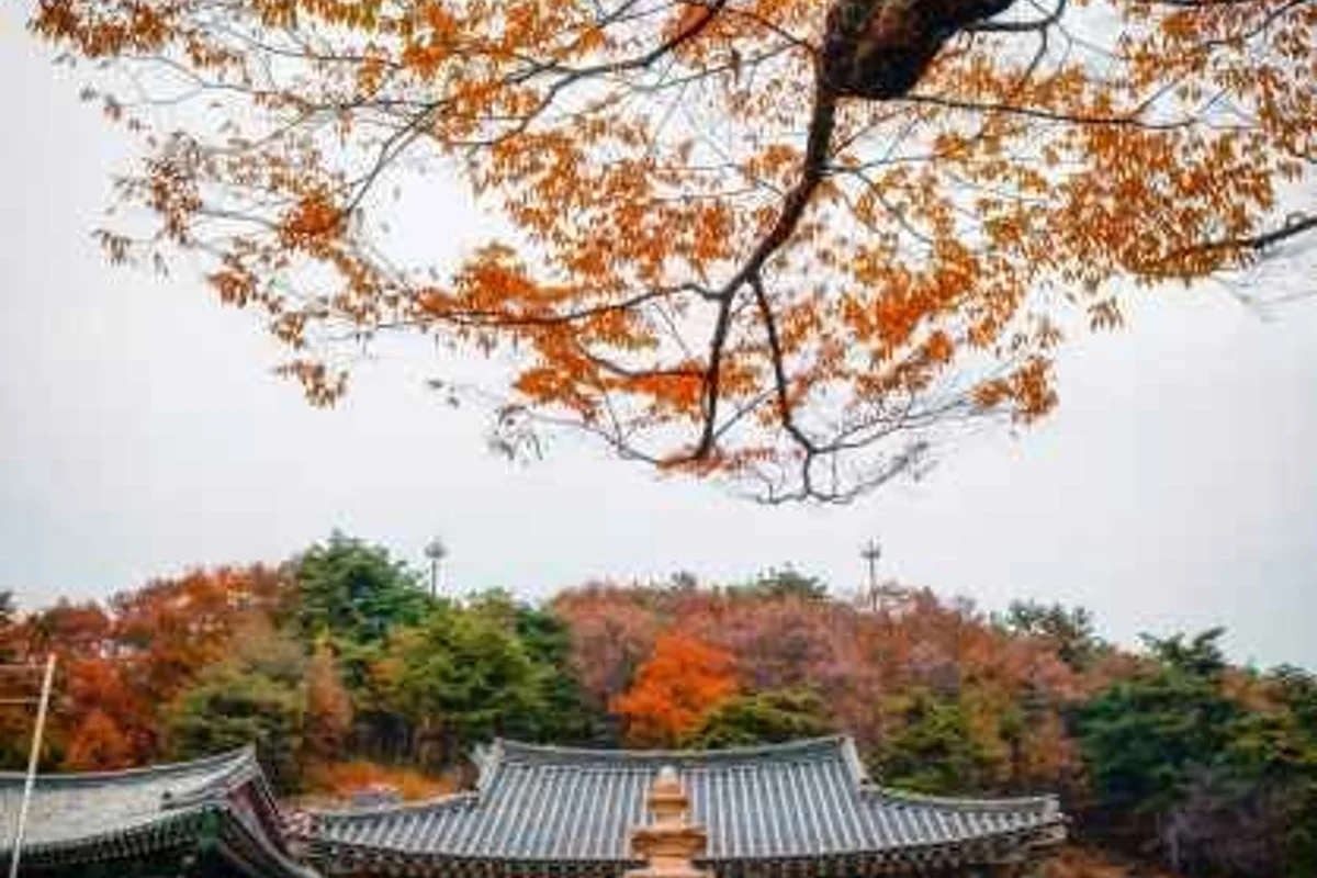 도토리숲키즈파크 - 세종여행 여행