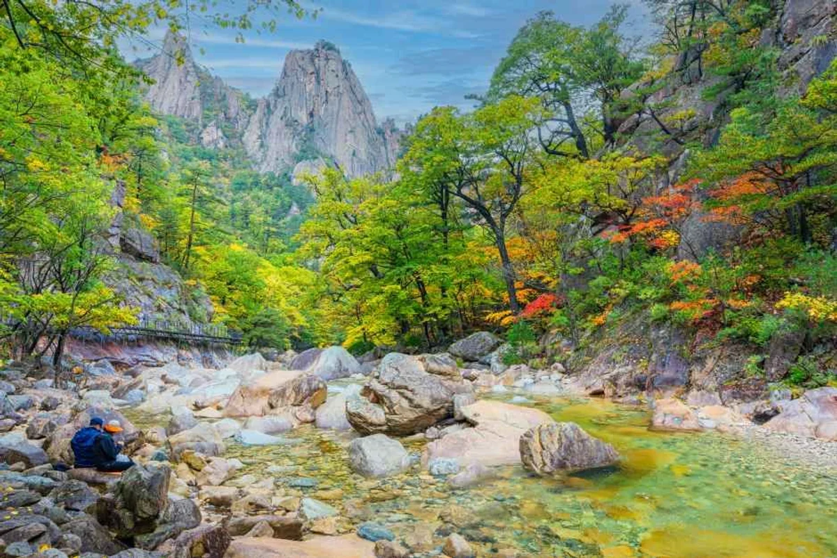 속초가볼만한곳, 영랑호 벚꽃의 향연 - 속초여행 여행