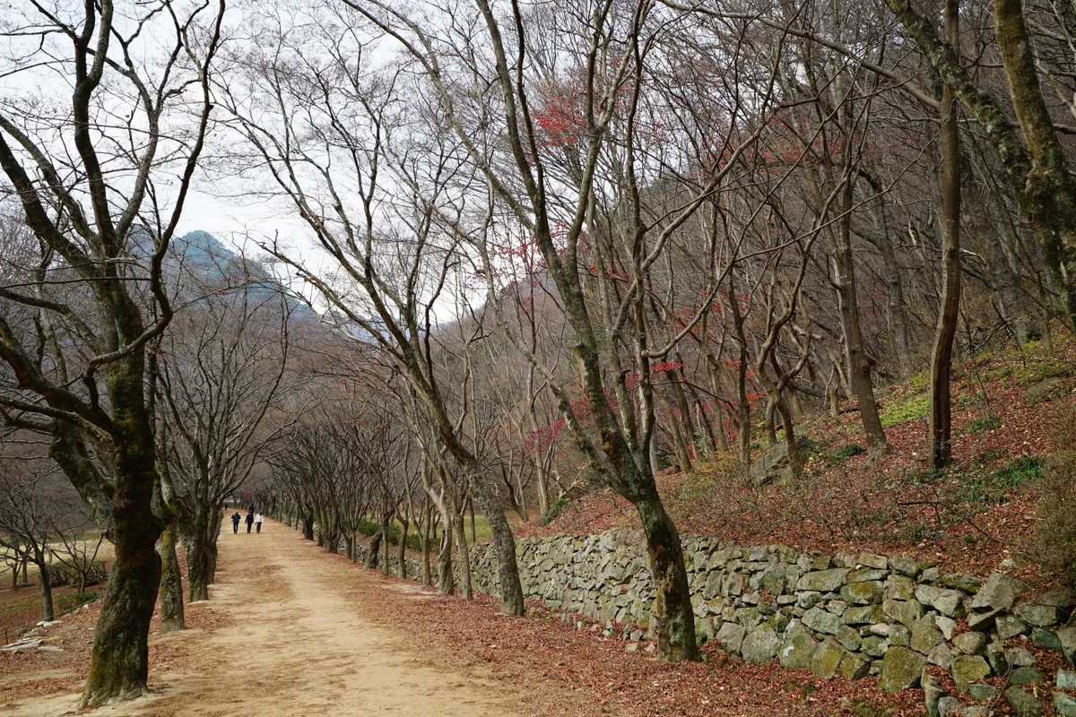 천사히어로즈 - 정읍여행 여행