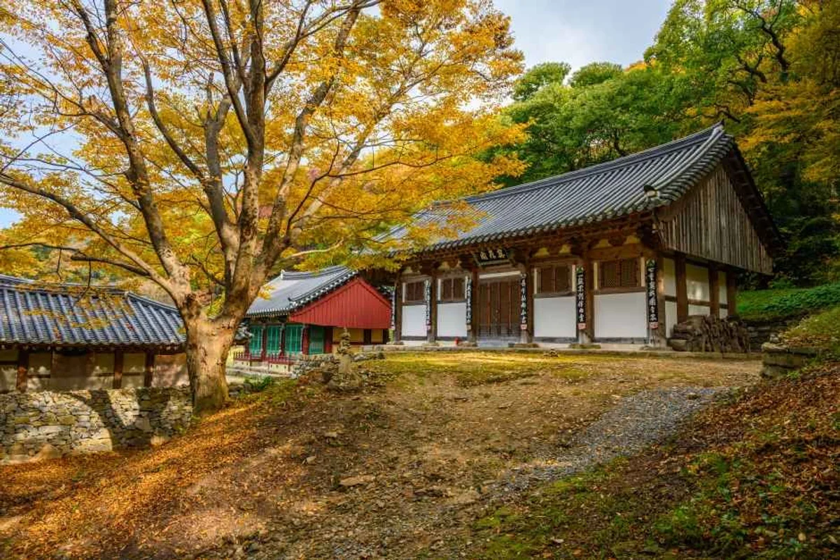 서산버드랜드 - 서산여행 여행