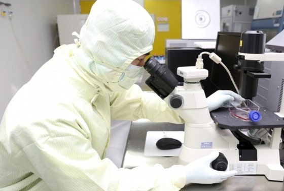 A researcher at Cha Biotech is observing stem cells at a Good Manufacturing Practice (GMP)-certified facility / Provided by CHA Biotech
