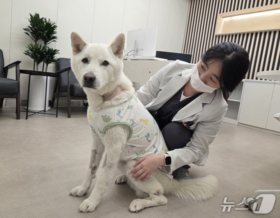 Taengi, who is overcoming a systemic fungal infection, and Park Soo-min, Chief of Internal Medicine at Signature Animal Medical Center / News1