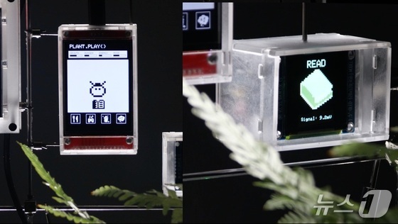 A plant connected to a digital pet game system. The digital pet nurtured by the plant grows while displaying different behaviors, such as reading books, according to the plant’s daily rhythm. (Provided by KAIST) / Courtesy of News1