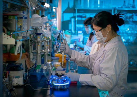 Provided by Daewoong Pharmaceutical