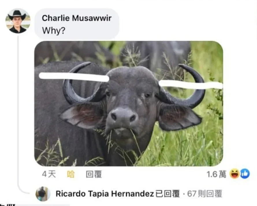 bt03c573e79274ab5f1756ae5ff16e5e4e.webp