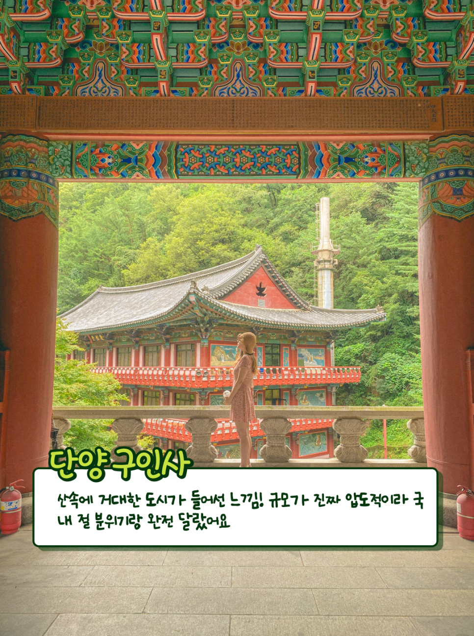 여기 한국 맞아? 전국 유명한 절 사찰 가볼만한곳 5 | 다빛의 다 빛나는 순간
