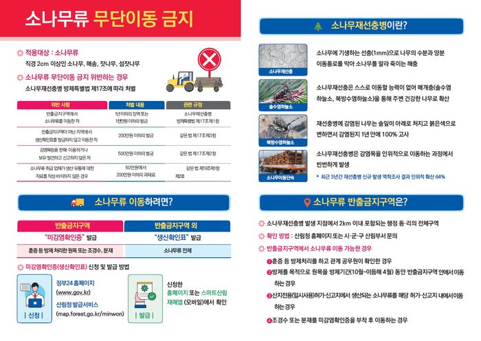 소나무 무단이동 집중단속안내문ⓒ안양시제공