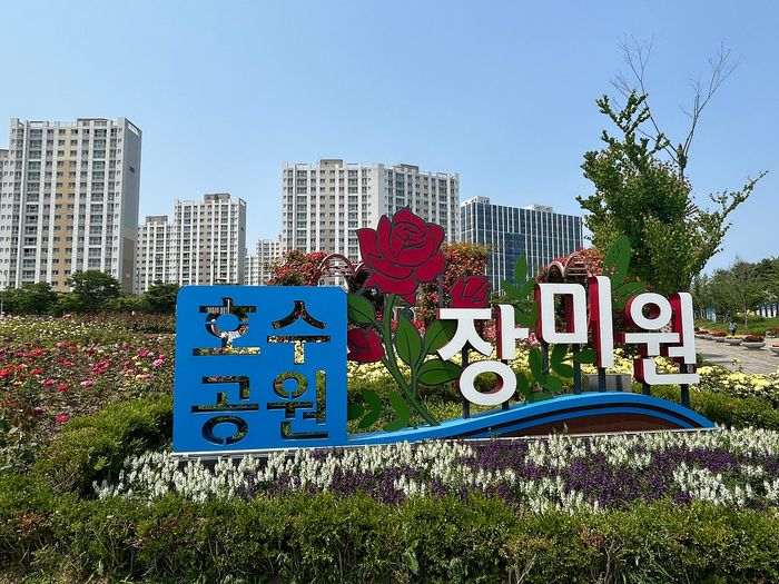 한강신도시에 위치한 호수공원 장미원ⓒ 김포시 제공