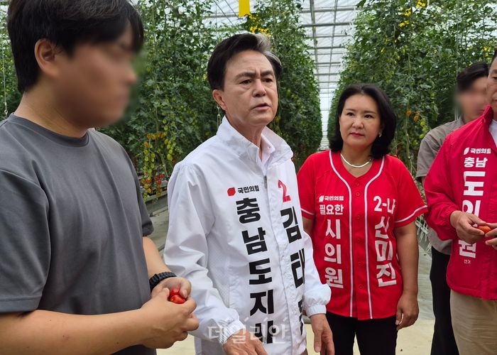 김태흠 국민의힘 충남도지사 후보가 26일 오전 아산시 도고면의 스마트팜 현장인 팜엔조이를 방문해 토마토 수확 현장 등을 둘러보며 청년농업인들의 현장 목소리를 청취하고 있다. ⓒ데일리안 김주혜 기자