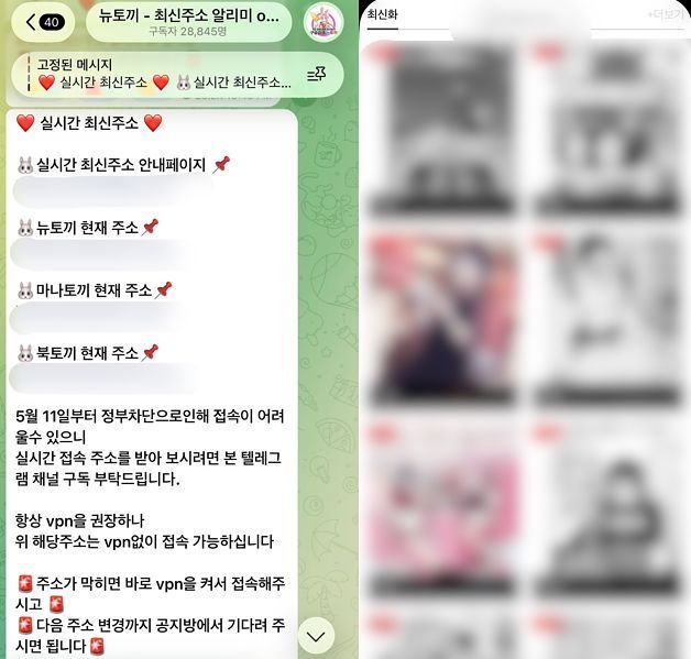 ⓒ 텔레그램