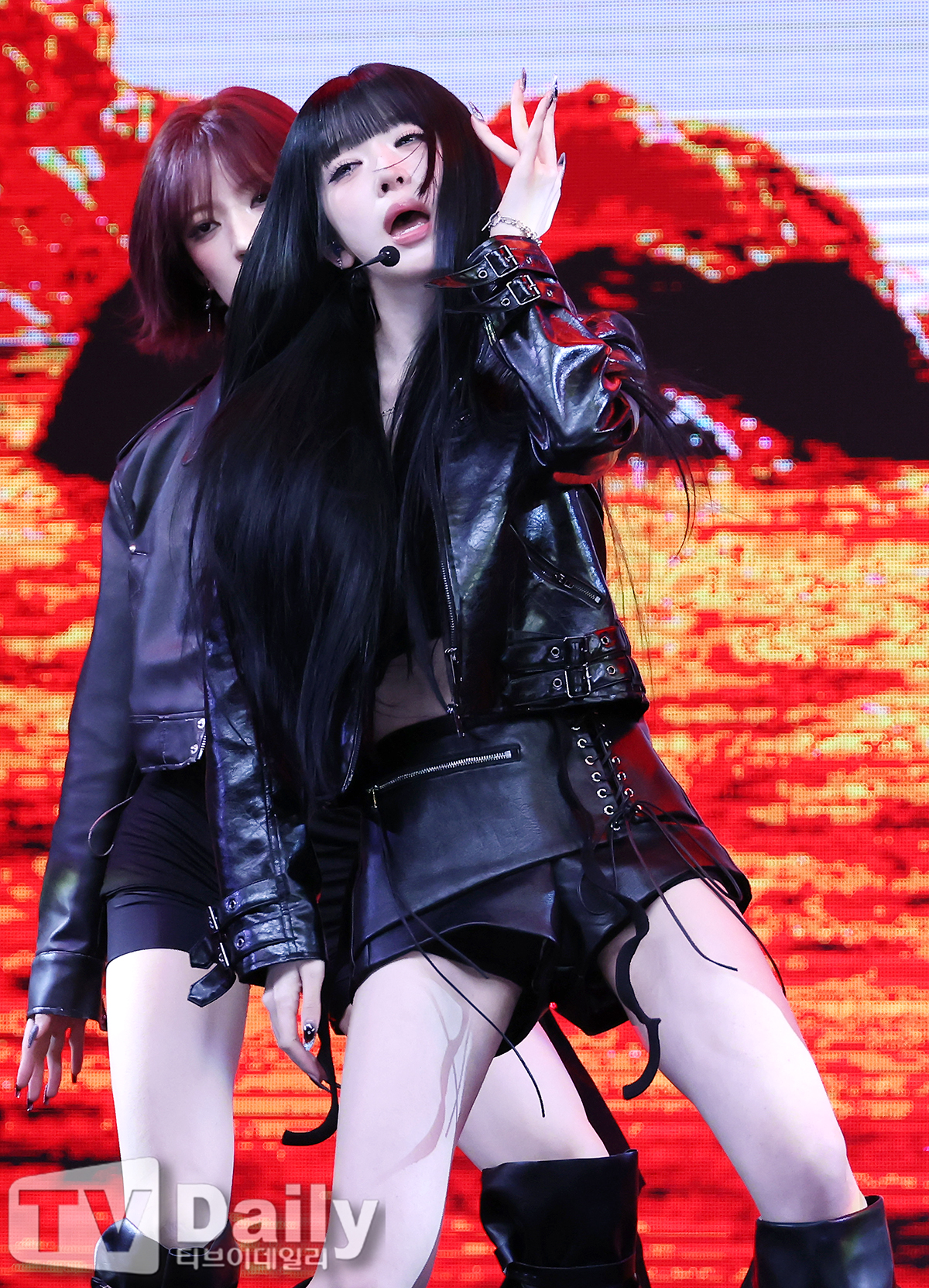 티브이데일리 포토