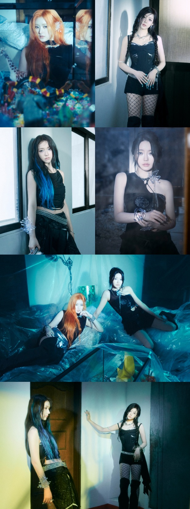 티브이데일리 포토