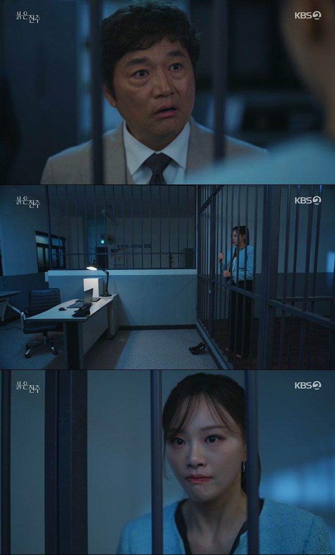 티브이데일리 포토
