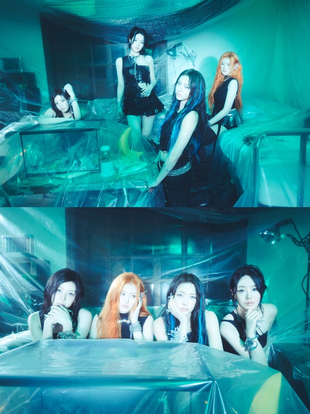 피프티피프티