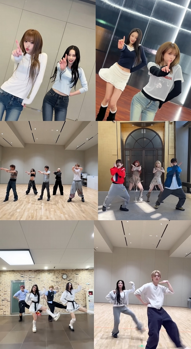 티브이데일리 포토