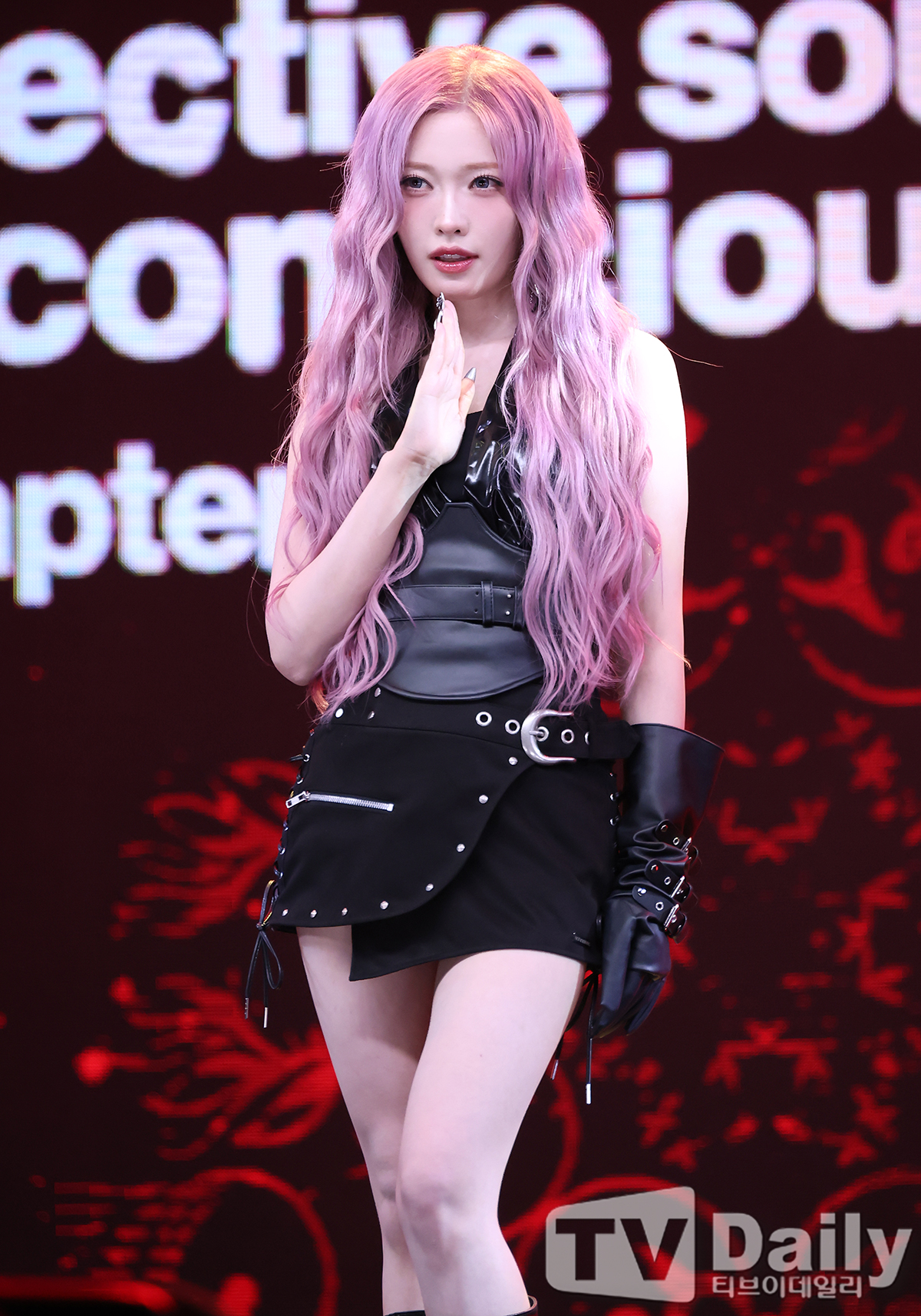 티브이데일리 포토