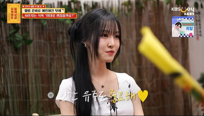 티브이데일리 포토