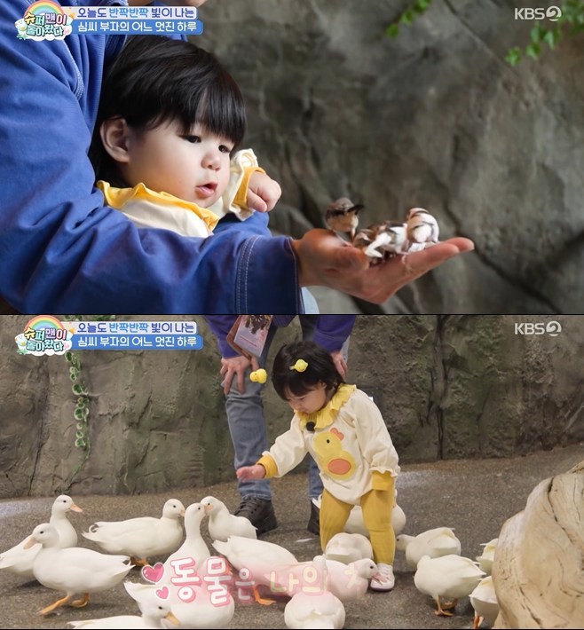 티브이데일리 포토