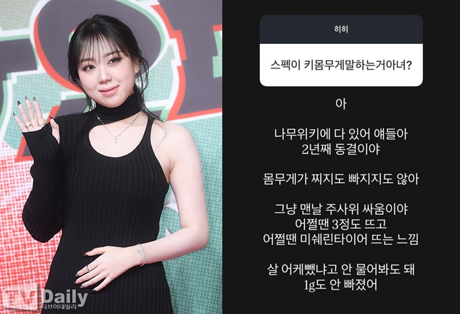 티브이데일리 포토
