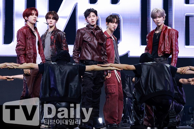티브이데일리 포토