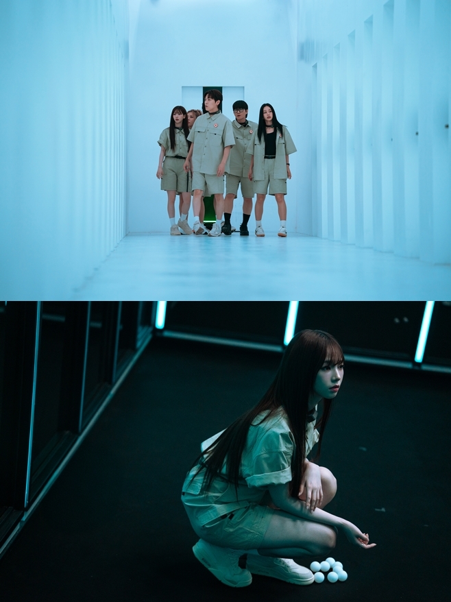 티브이데일리 포토