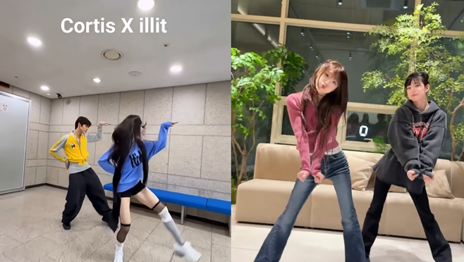 티브이데일리 포토