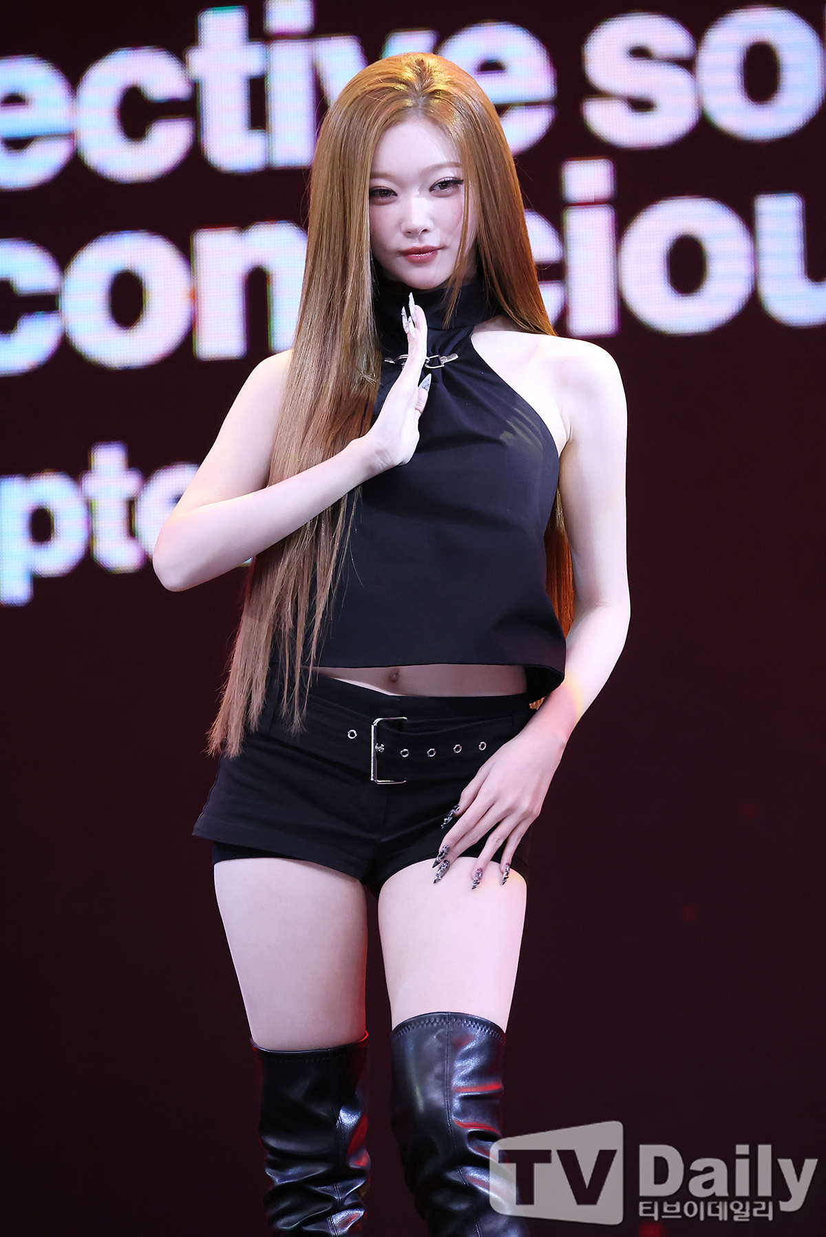 티브이데일리 포토