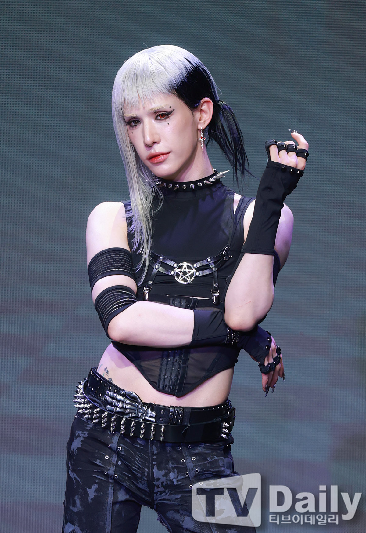 티브이데일리 포토