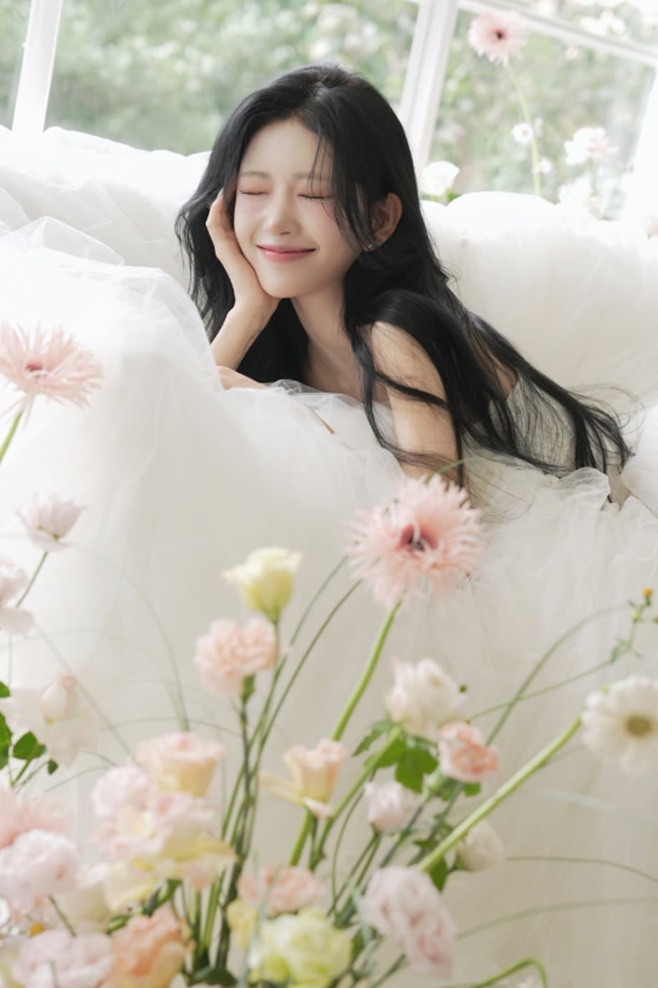 티브이데일리 포토