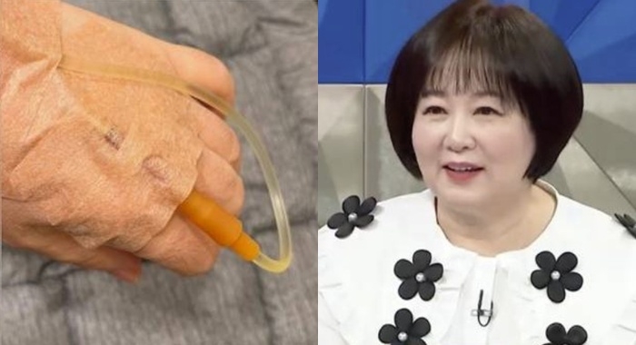 티브이데일리 포토