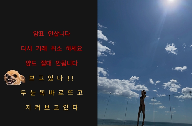 티브이데일리 포토