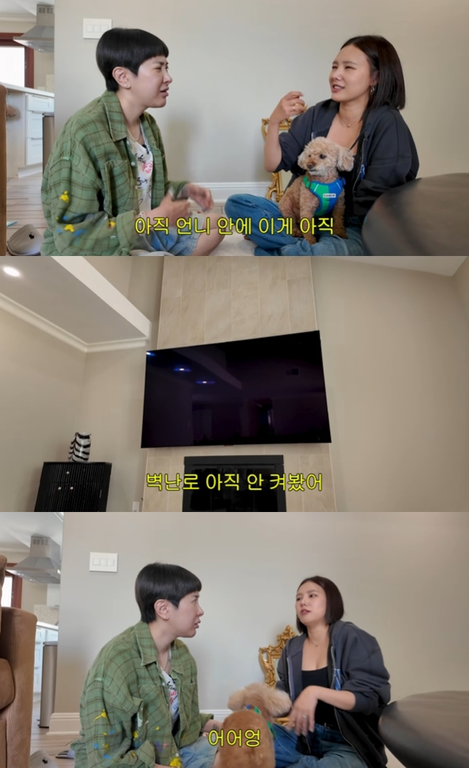 티브이데일리 포토