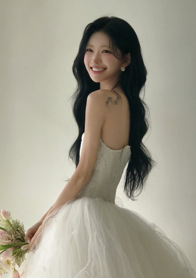 티브이데일리 포토