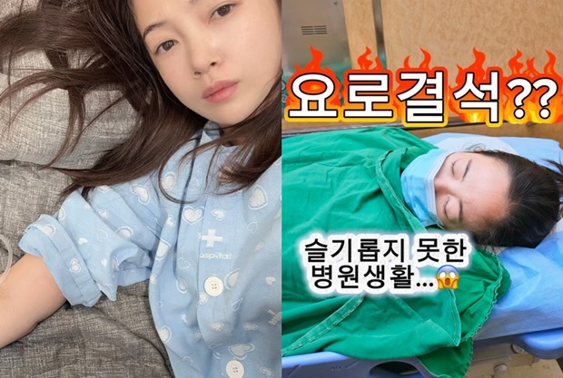 김보미