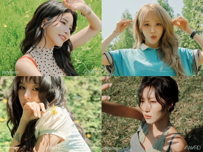 티브이데일리 포토
