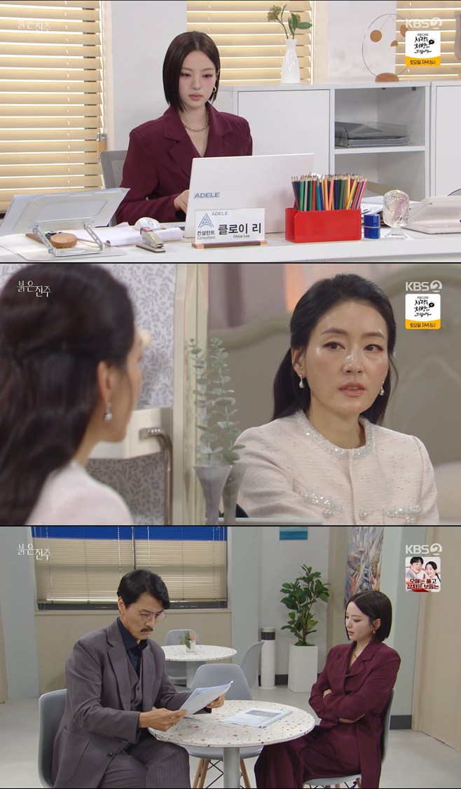 티브이데일리 포토