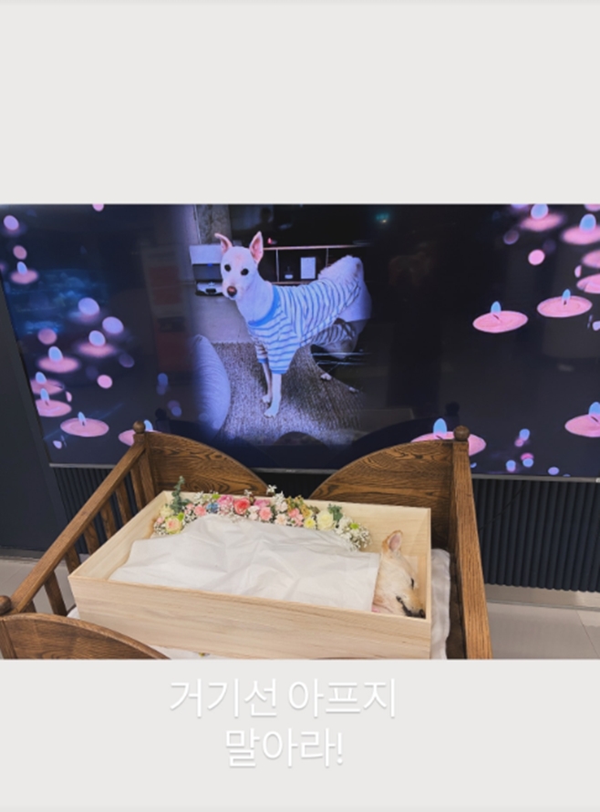 티브이데일리 포토