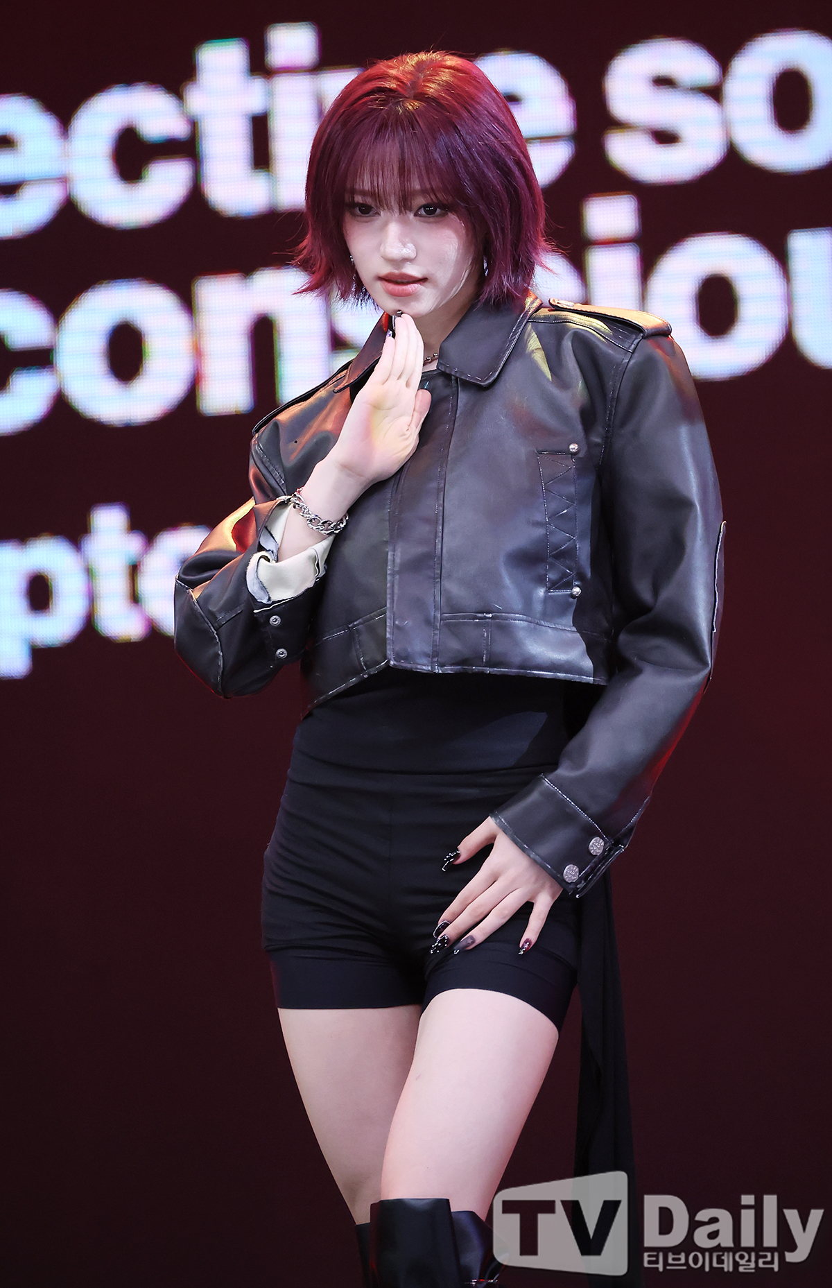 티브이데일리 포토