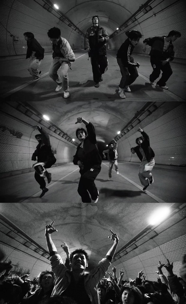 코르티스