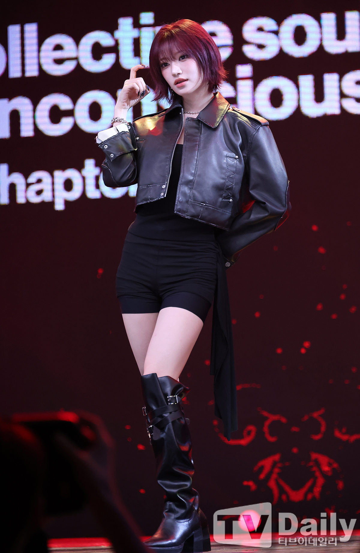 티브이데일리 포토