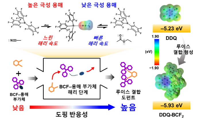 용매의 극성에 따른 루이스 페어 도펀트의 형성 메커니즘. (장재영 교수)