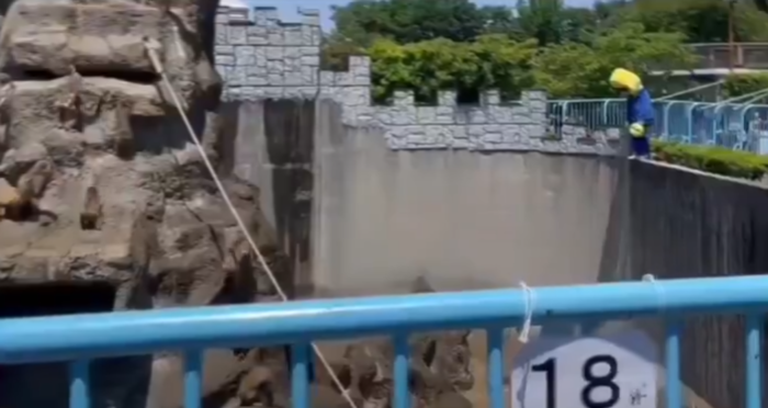 지난 17일 일본 이치카와 시립동물원 원숭이 우리에 침입한 미국인 관광객. 사진=엑스 캡처