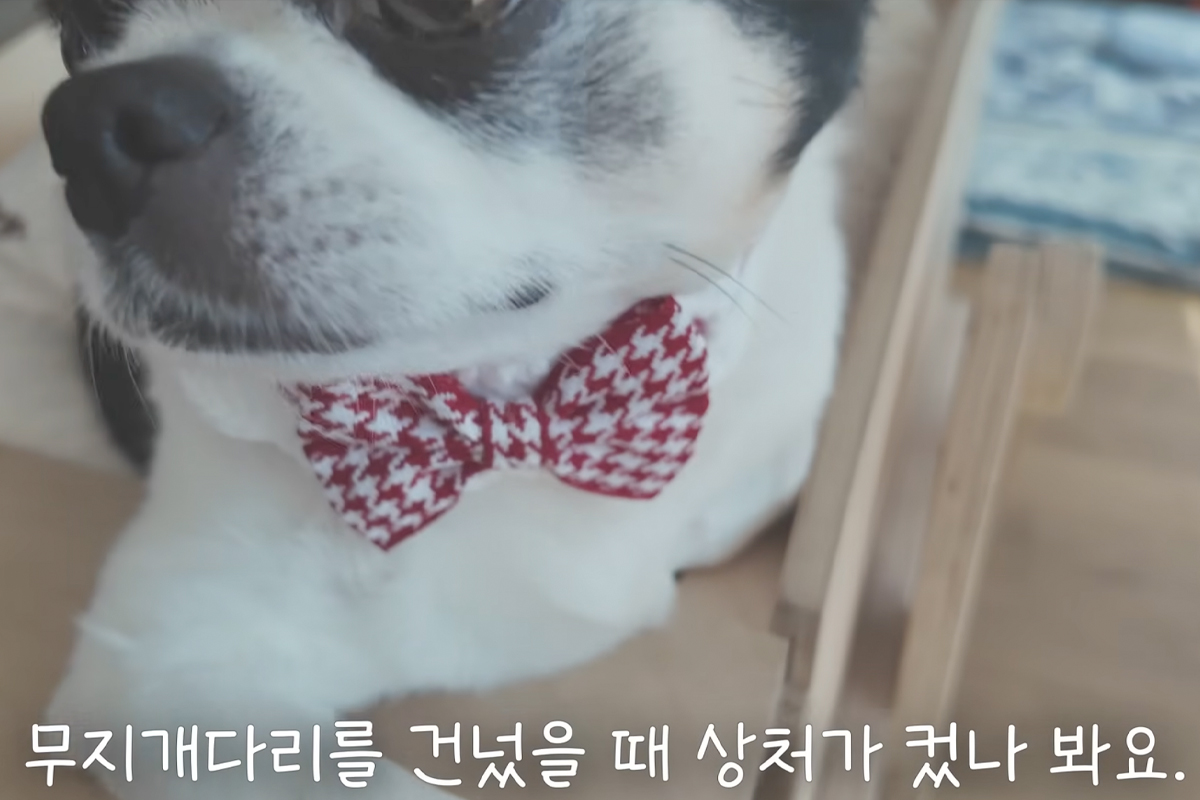 출처 : 유튜브 '오연수 Yun Soo Oh'