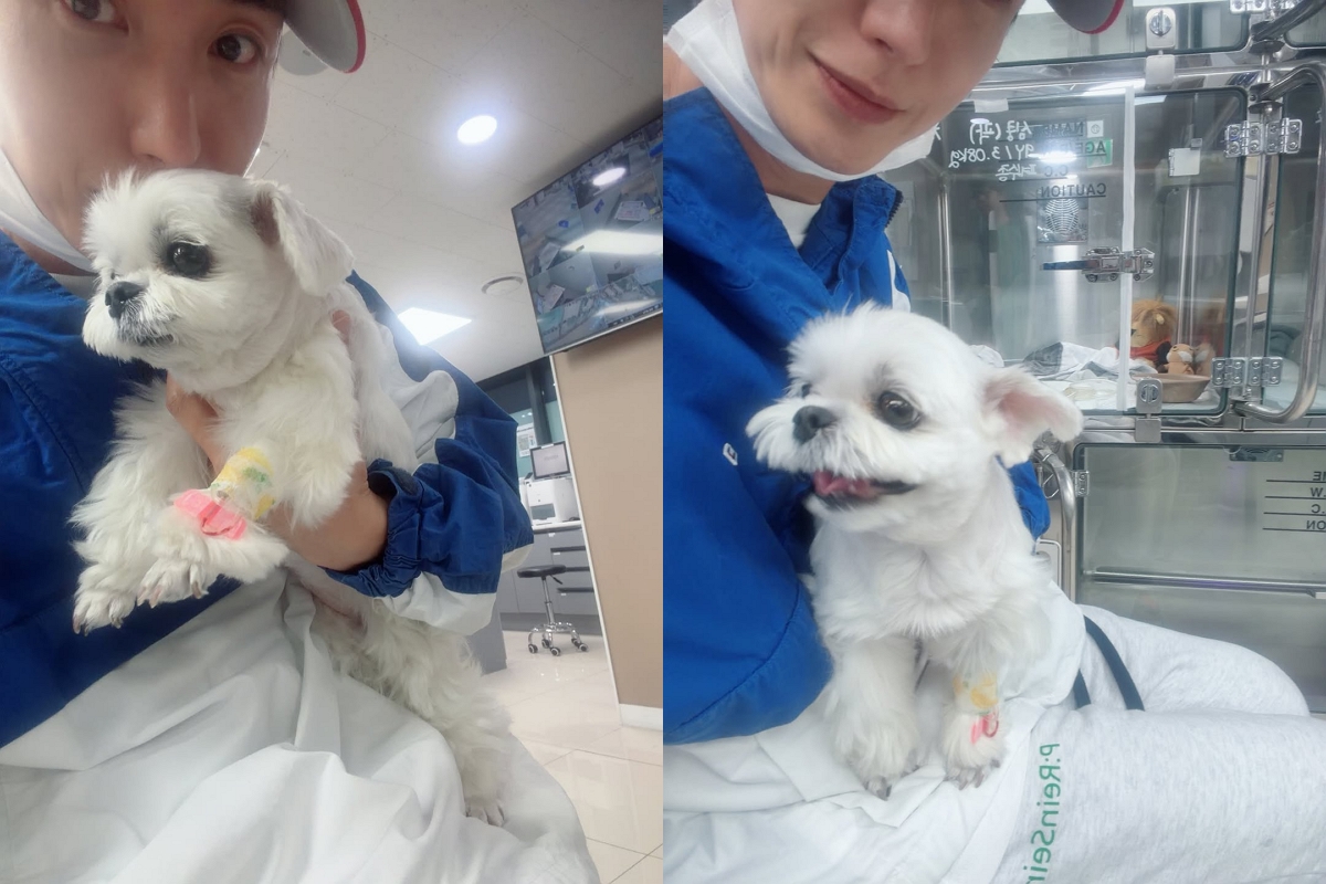 출처: 이특 SNS